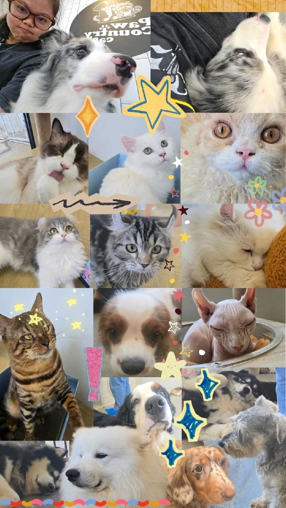 GIF uploaded by Rain