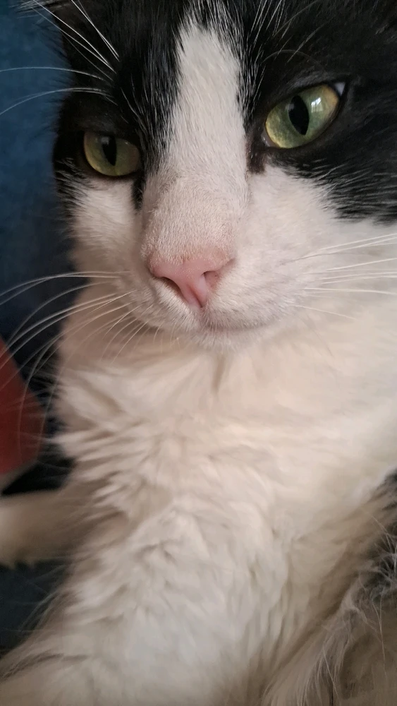 GIF enviado por Matheus Roberto