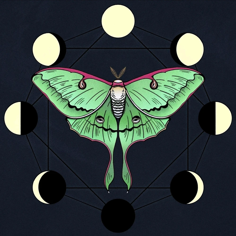 GIF diunggah dening Eric