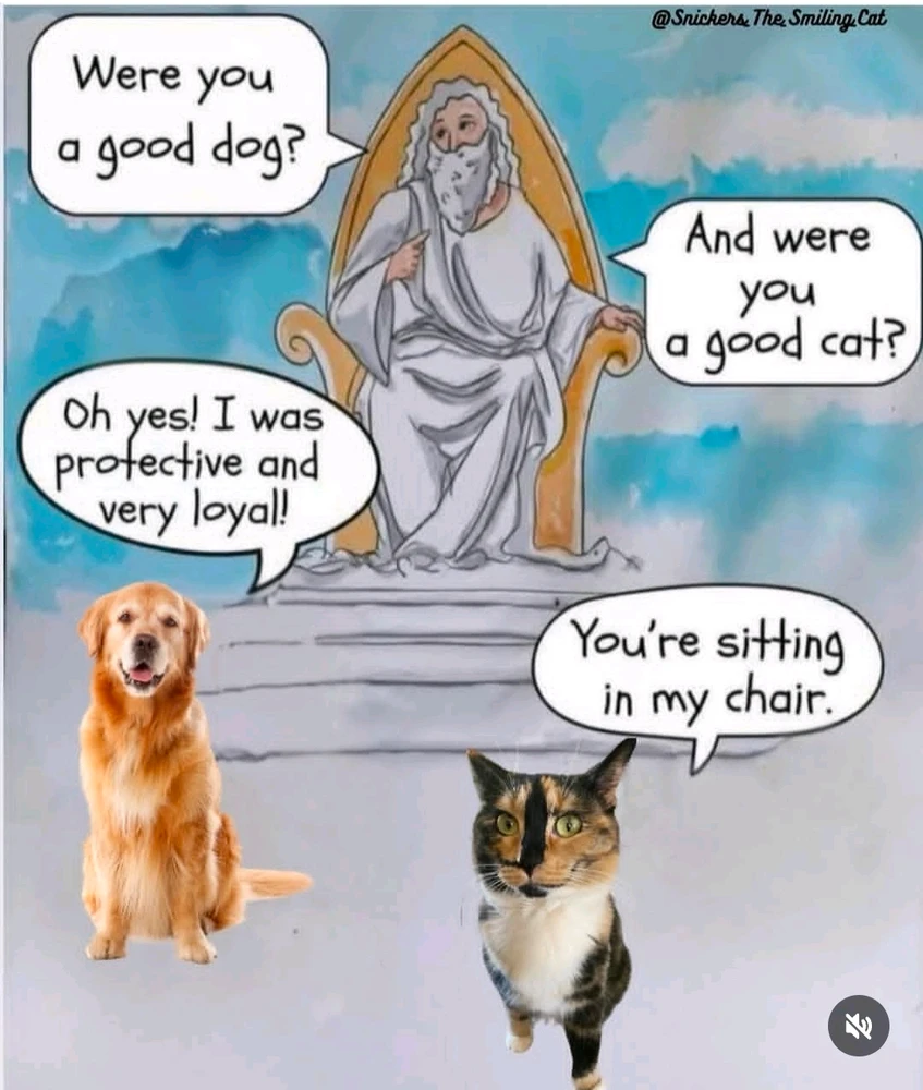 GIF uploaded by Svetlana