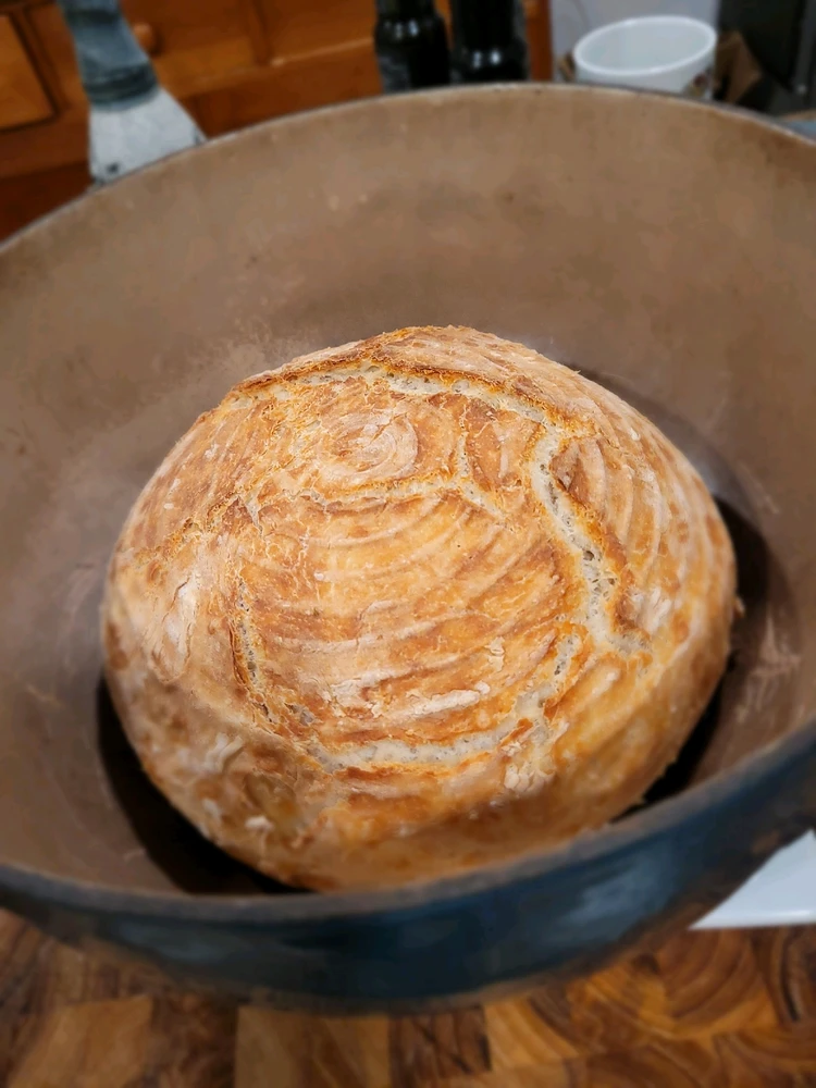 Image uploaded by Taylor