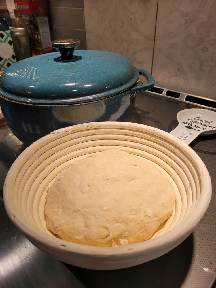 Image uploaded by Taylor