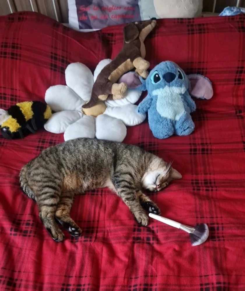 GIF caricata da Gianluca