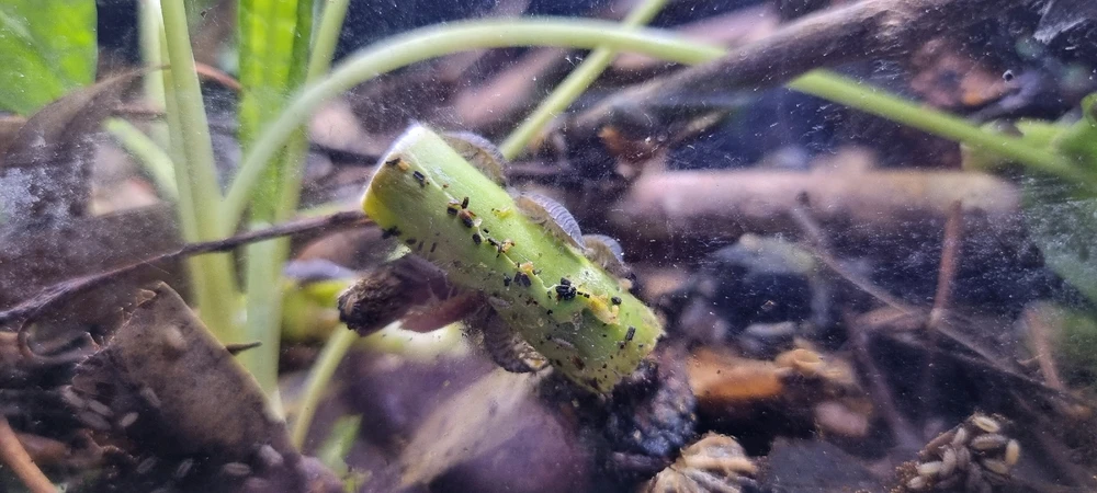 Image uploaded by J-Klamp😜🐒