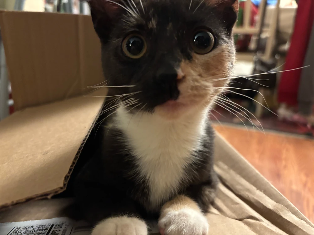 GIF uploaded by Ryan