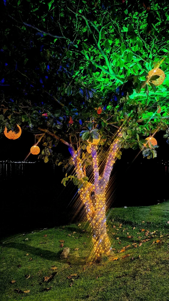 GIF enviado por Hugo