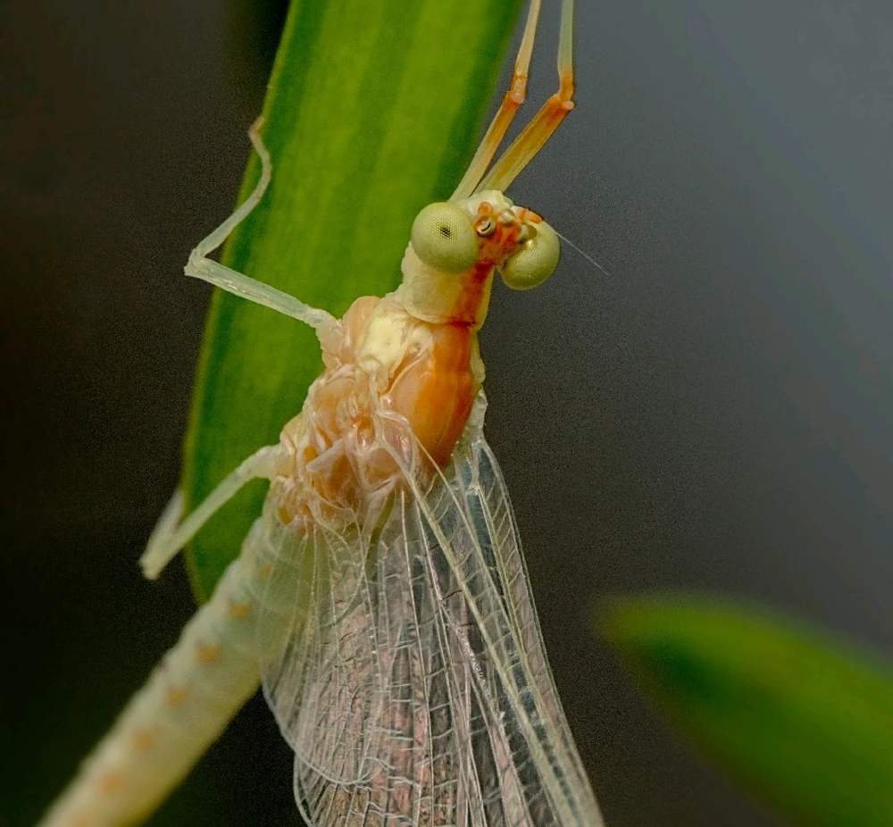 GIF uploaded by Logan