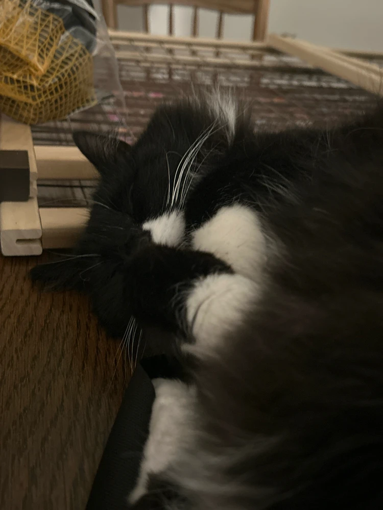 GIF uploaded by Ariel