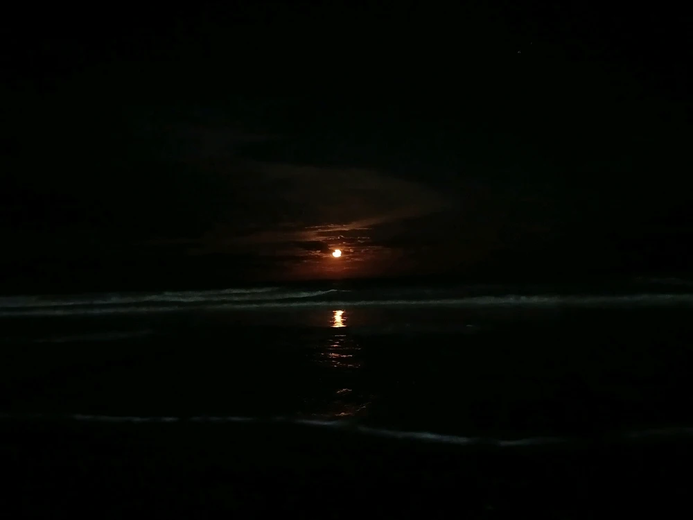 GIF subido por Franco