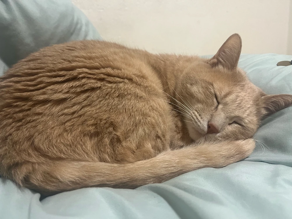 GIF uploaded by Kelly