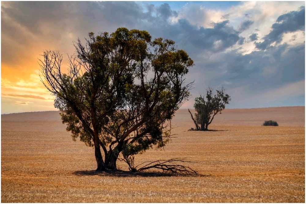 GIF uploaded by Serge Aus