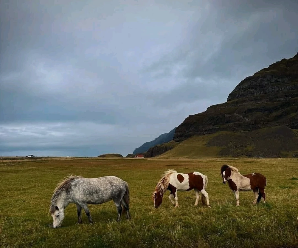 Image uploaded by Soo