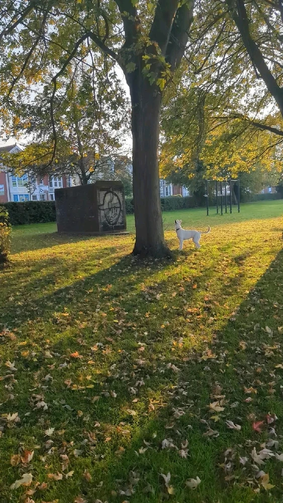 GIF uploaded by Castiel