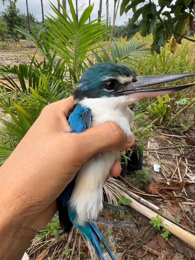 GIF uploaded by Mint