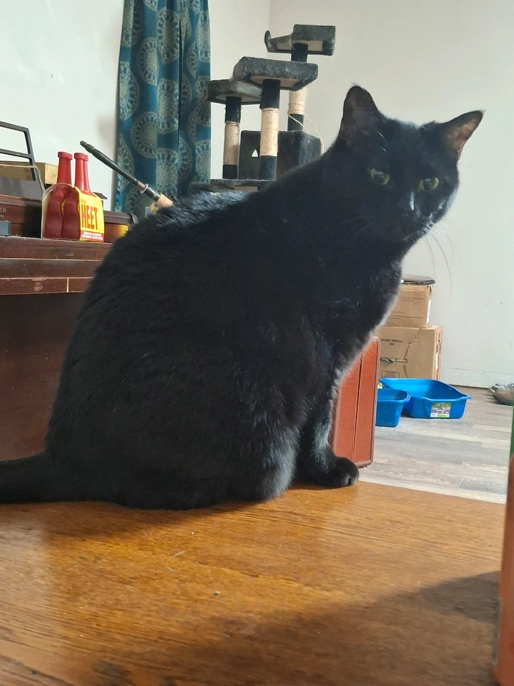 Image uploaded by Charlie