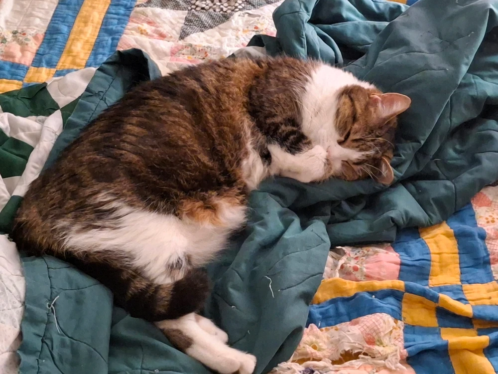 Image uploaded by Charlie