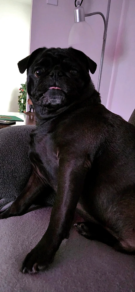 Image uploaded by Denis