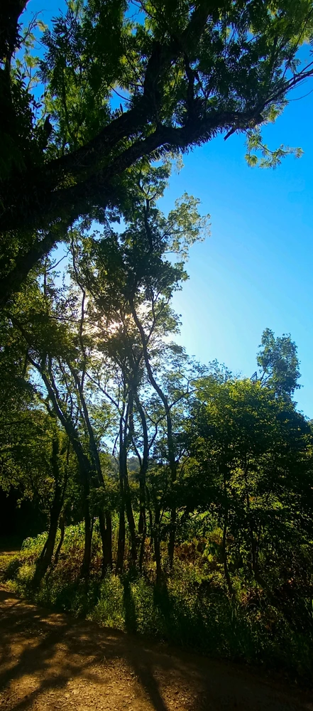 GIF enviado por Luana Inês Petry