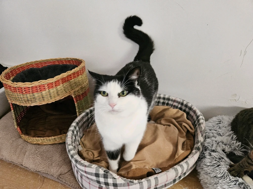 Image ajoutée par Geoffrey