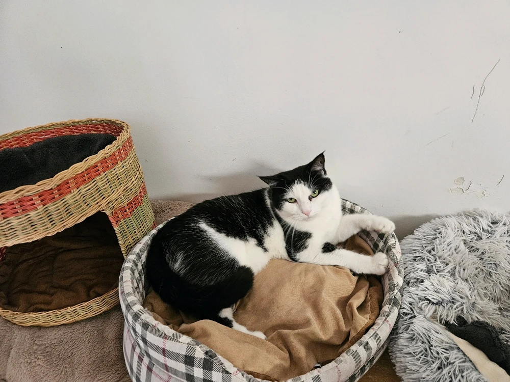 Image ajoutée par Geoffrey