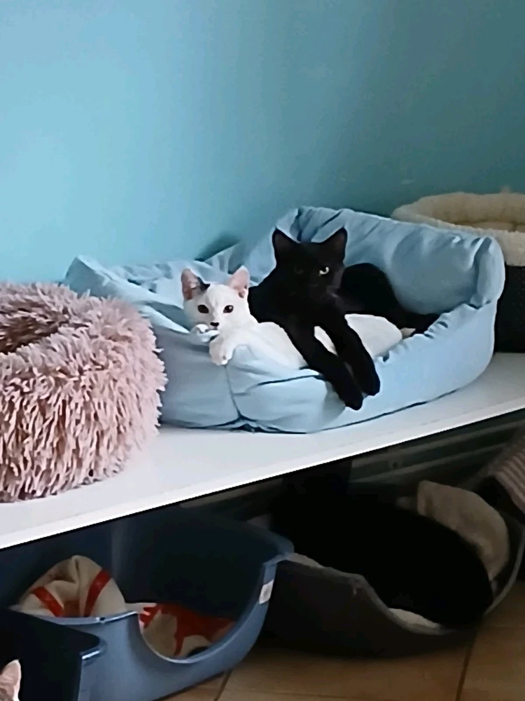 Image ajoutée par Geoffrey