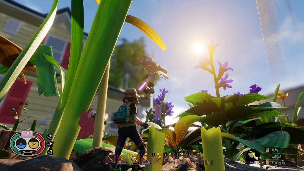 Imagem enviada por Pedro