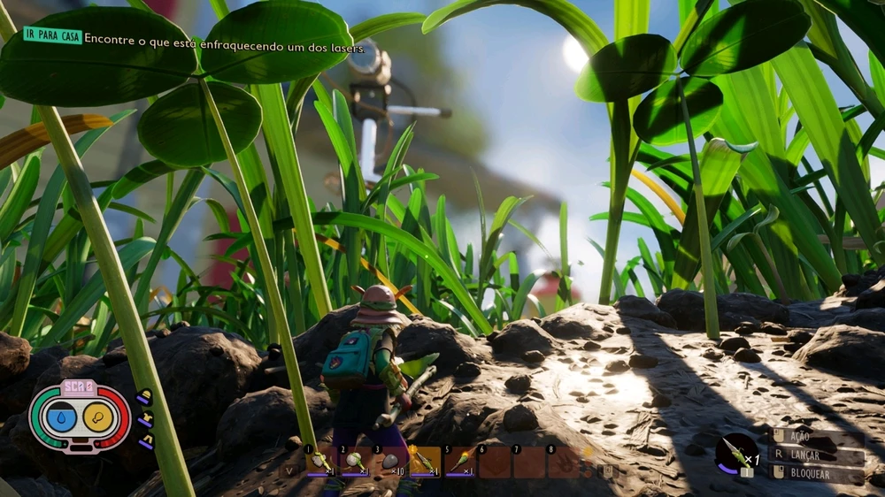 Imagem enviada por Pedro