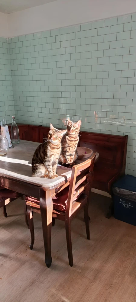 GIF uploaded by Jordan