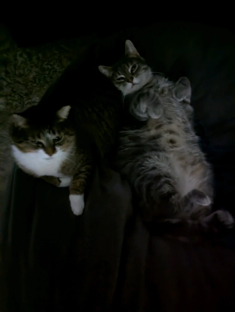 Image uploaded by Jaiden