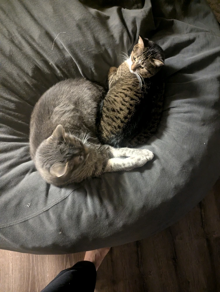 Image uploaded by Jaiden