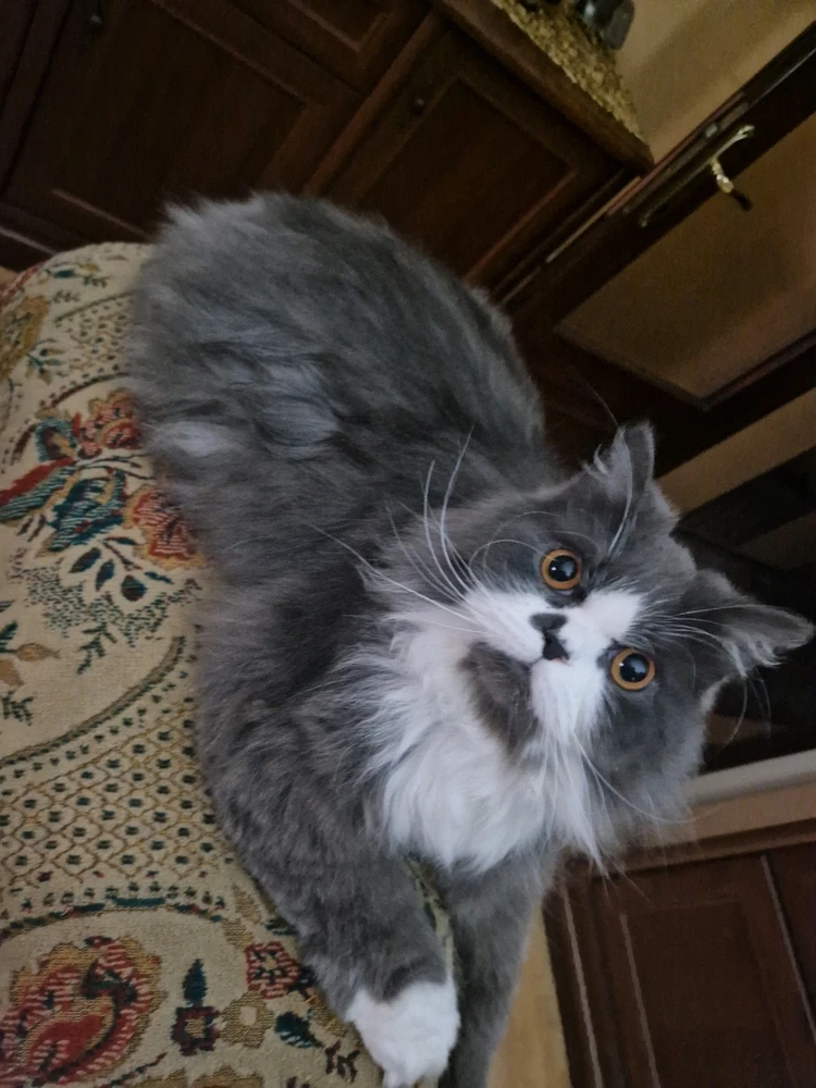 GIF uploaded by Uros