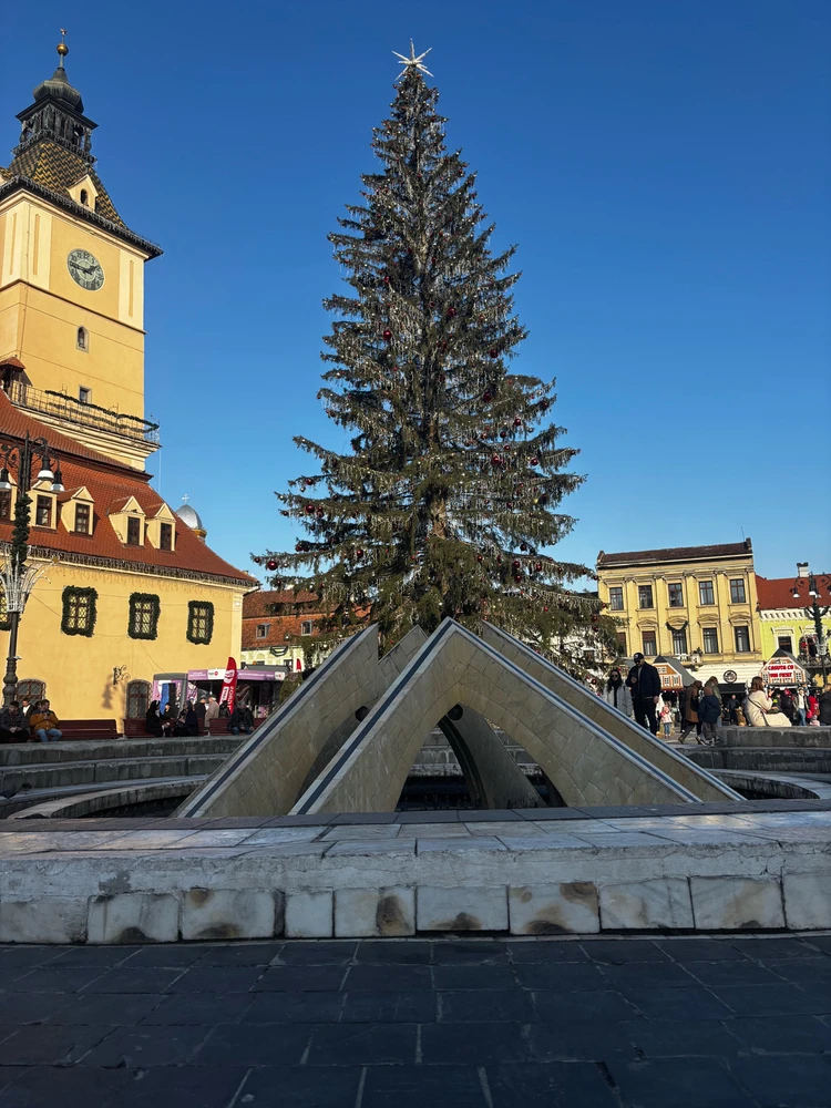 Image uploaded by Laura