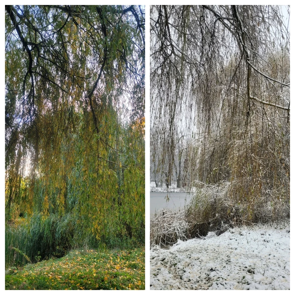 Zdjęcie dodane przez Przemysław