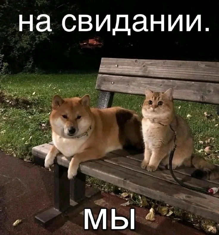 GIF загрузил Анатолий