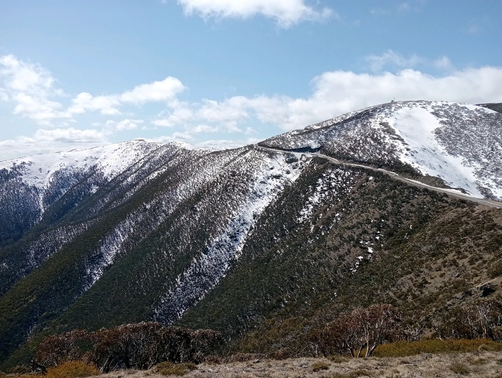 Image uploaded by Moon