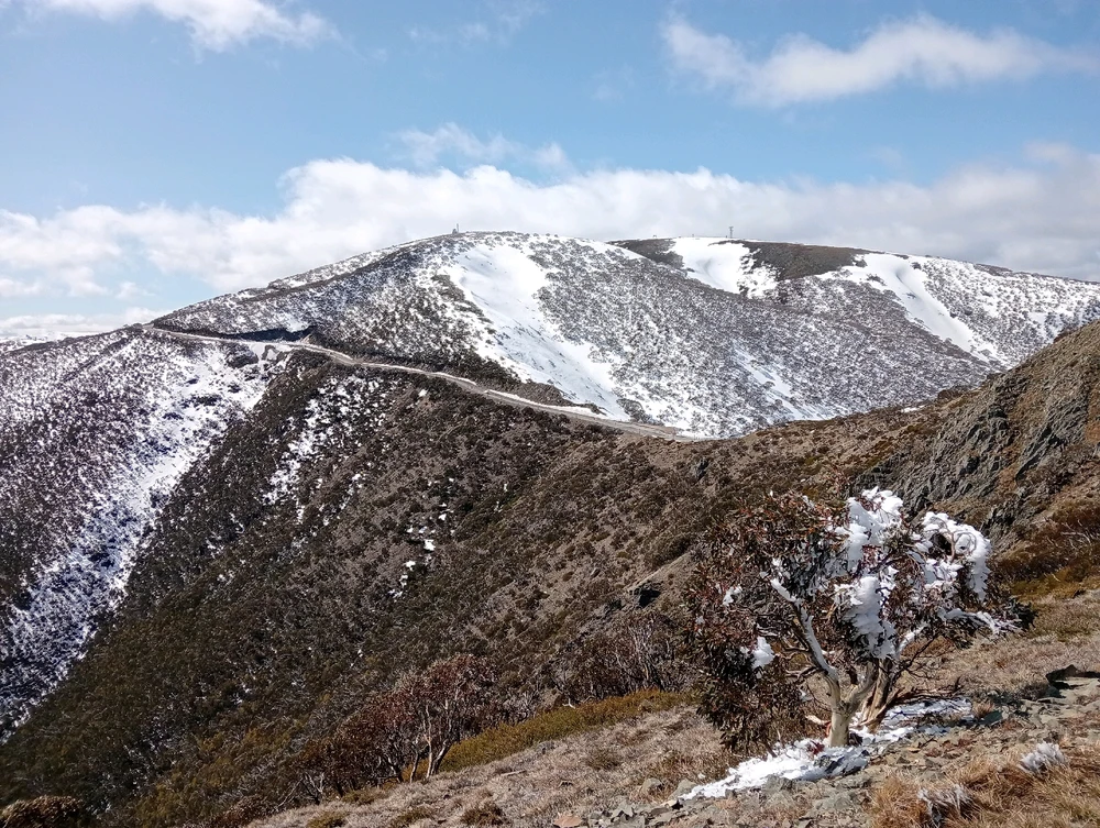 Image uploaded by Moon