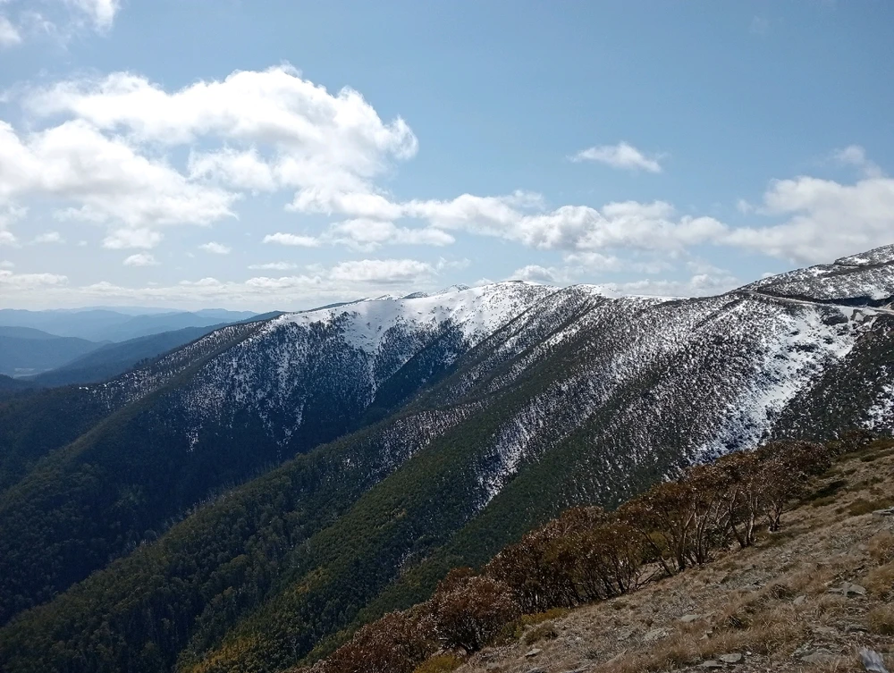 Image uploaded by Moon