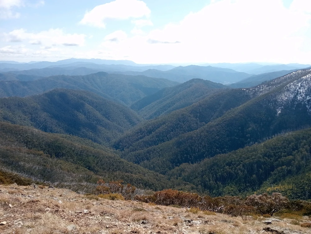 Image uploaded by Moon