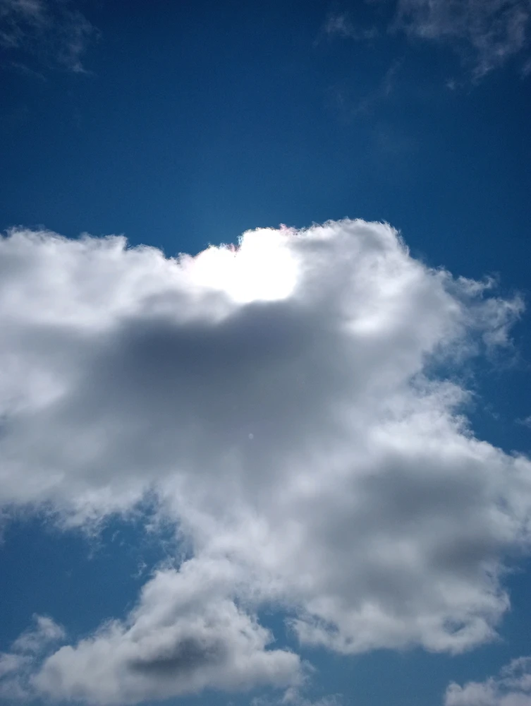 Image uploaded by Moon