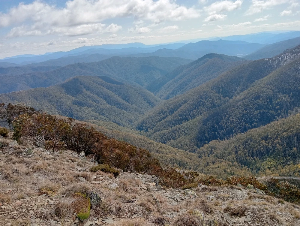 Image uploaded by Moon