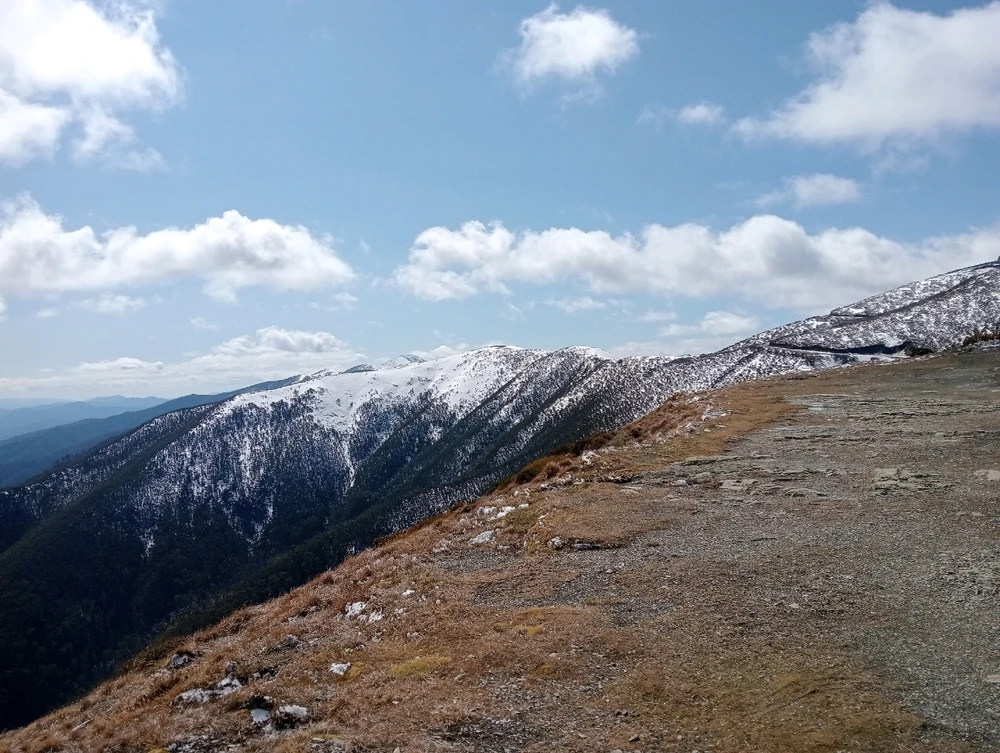 Image uploaded by Moon