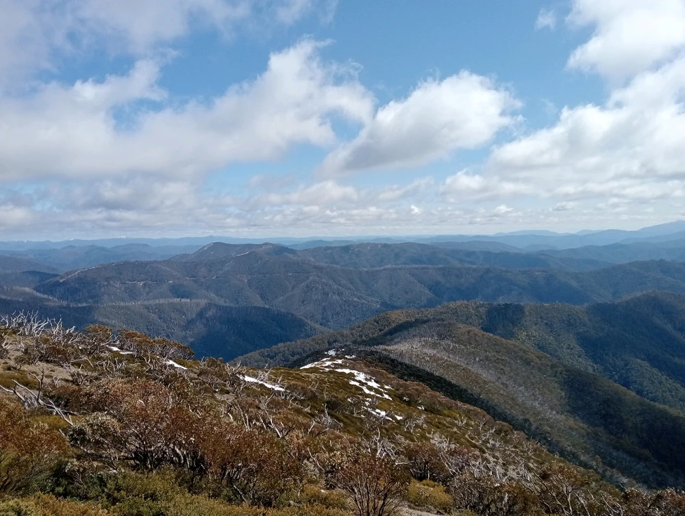 Image uploaded by Moon