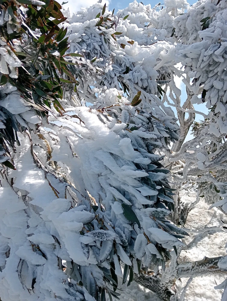 Image uploaded by Moon