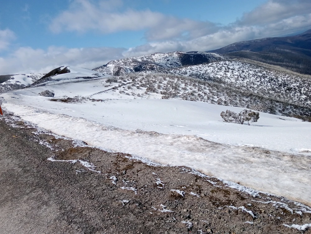 Image uploaded by Moon