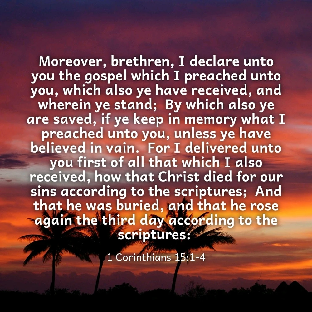 GIF diunggah dening Larry