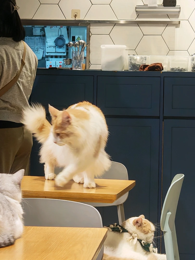 GIF uploaded by Adam