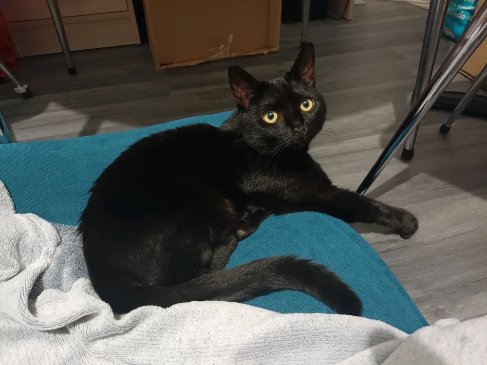 Image ajoutée par Cymoriel🦋