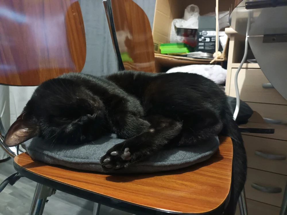 Image ajoutée par Cymoriel🦋