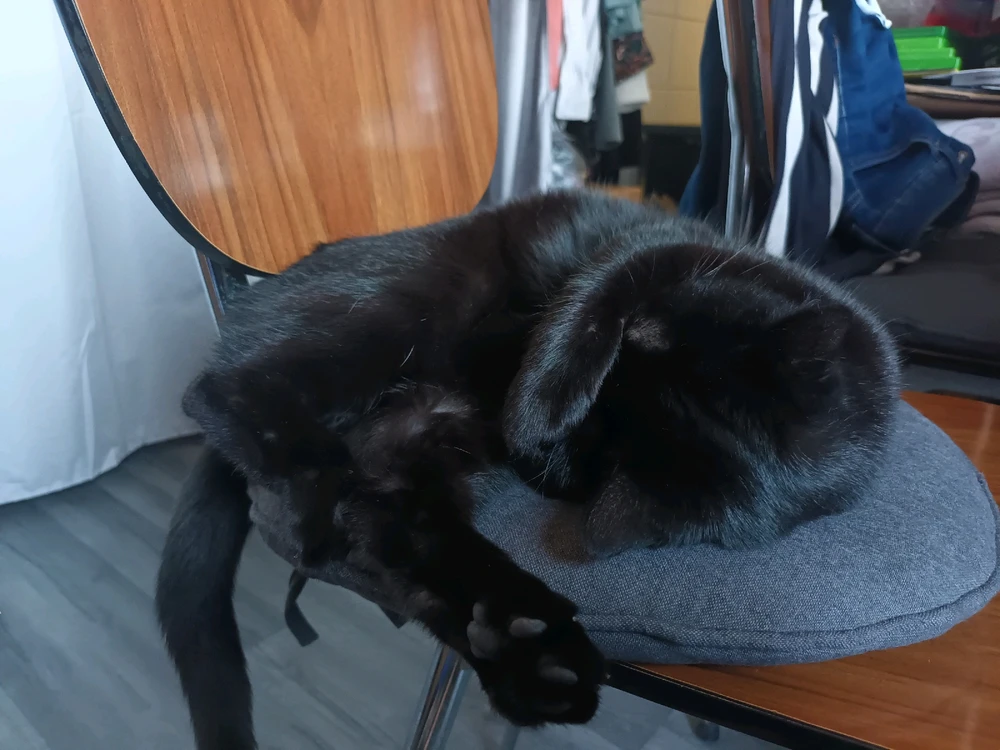 Image ajoutée par Cymoriel🦋