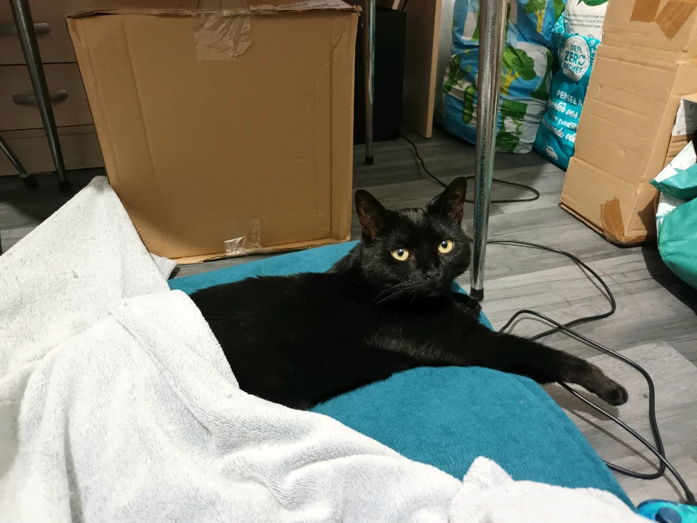 Image ajoutée par Cymoriel🦋